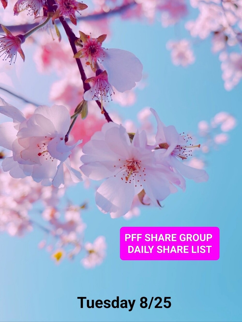 Aug 25  👠👗 PFF SHARE GROUP🛍👗💍